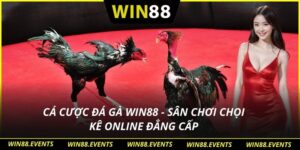 Cá cược đá gà