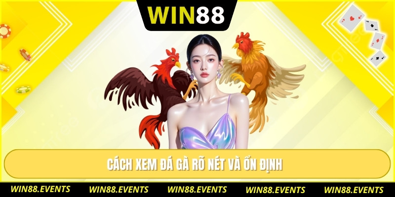 Cách xem đá gà rõ nét và ổn định