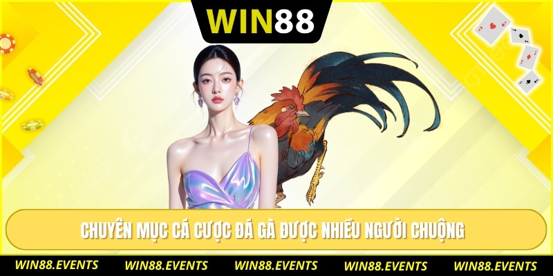 Chuyên mục cá cược đá gà được nhiều người chuộng