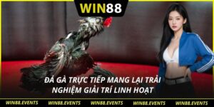 Đá gà trực tiếp