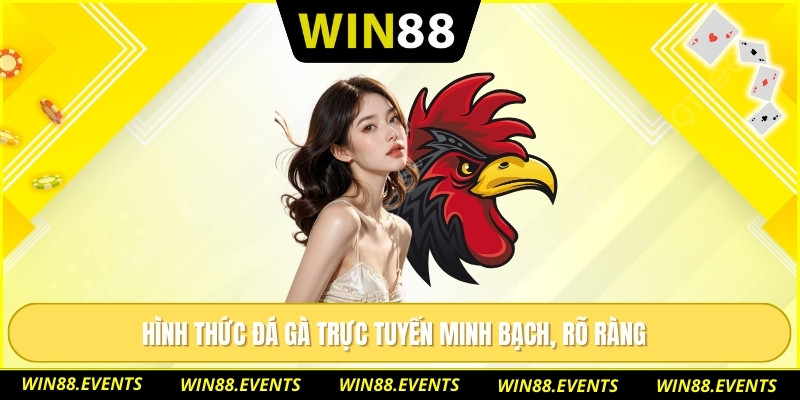 Đá Gà C5 Trải Nghiệm Sôi Động Với Nhiều Lựa Chọn Hấp Dẫn 1 Hình thức đá gà trực tuyến minh bạch, rõ ràng