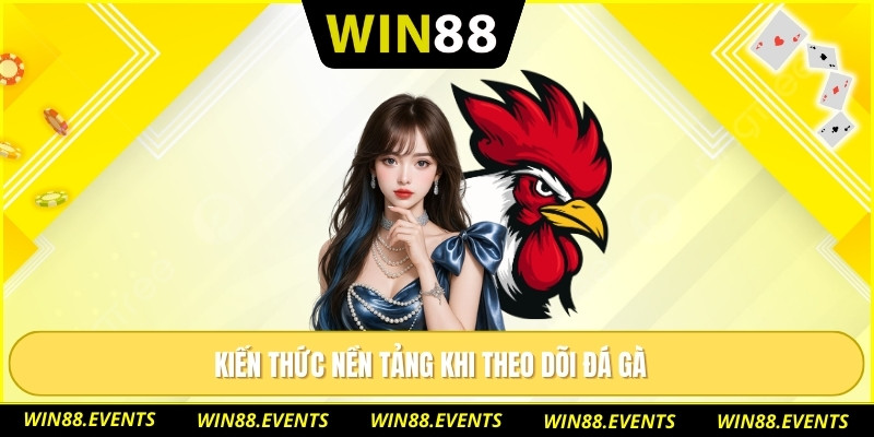 Kiến thức nền tảng khi theo dõi đá gà