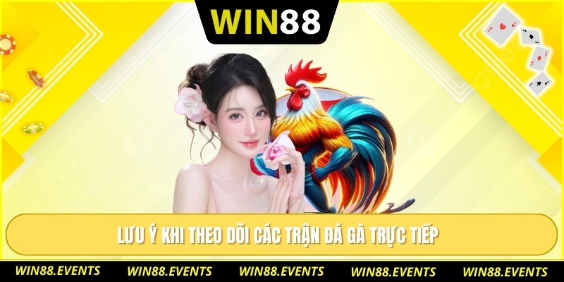 Lưu ý khi theo dõi các trận đá gà trực tiếp