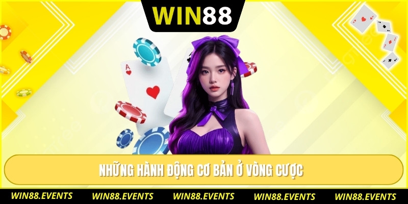 Những hành động cơ bản ở vòng cược