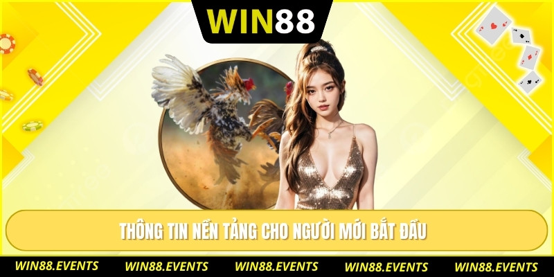 Đá Gà Thomo - Luật Chơi, Kinh Nghiệm Và Lưu Ý Thực Tế 1 Thông tin nền tảng cho người mới bắt đầu