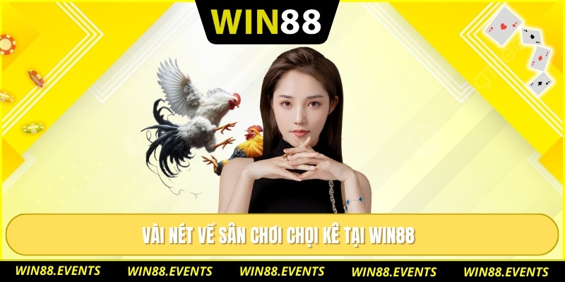 Vài nét về sân chơi chọi kê tại WIN88